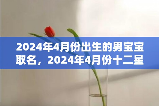 2024年4月份出生的男宝宝取名，2024年4月份十二星座爱情运势大排名