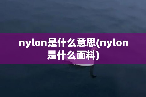 nylon是什么意思(nylon是什么面料)