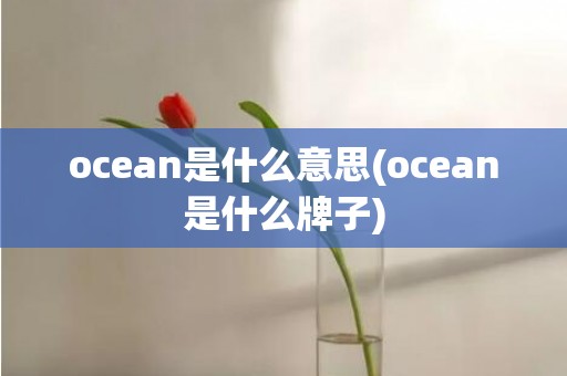ocean是什么意思(ocean是什么牌子)
