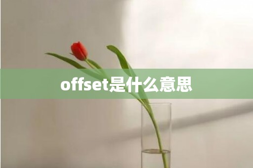 offset是什么意思