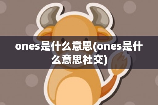 ones是什么意思(ones是什么意思社交)