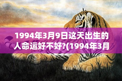 1994年3月9日这天出生的人命运好不好?(1994年3月9号多少岁)