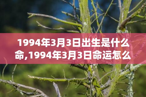 1994年3月3日出生是什么命,1994年3月3日命运怎么样(1994年3月3日)
