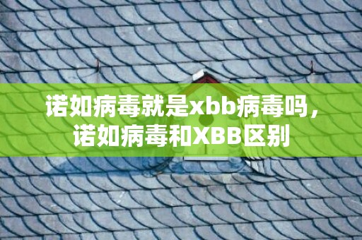 诺如病毒就是xbb病毒吗，诺如病毒和XBB区别