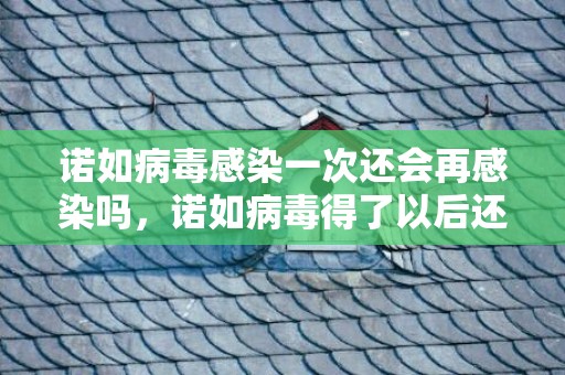 诺如病毒感染一次还会再感染吗，诺如病毒得了以后还能二次被传染吗