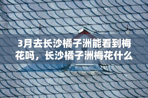 3月去长沙橘子洲能看到梅花吗，长沙橘子洲梅花什么时候开