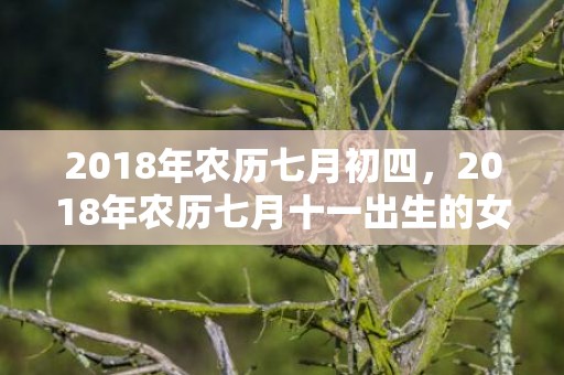 2018年农历七月初四，2018年农历七月十一出生的女孩怎么取名？日柱论命如何？