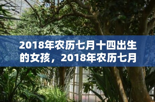 2018年农历七月十四出生的女孩，2018年农历七月十二出生的男孩怎么取名？老黄历所忌是什么？