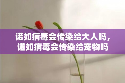 诺如病毒会传染给大人吗，诺如病毒会传染给宠物吗