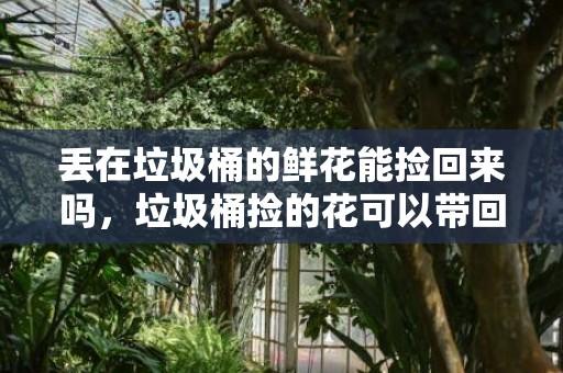 丢在垃圾桶的鲜花能捡回来吗，垃圾桶捡的花可以带回家吗