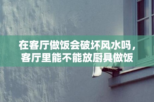 在客厅做饭会破坏风水吗，客厅里能不能放厨具做饭