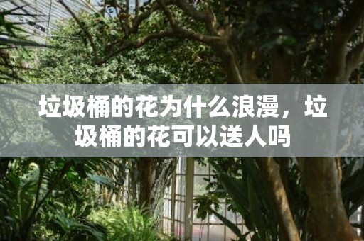 垃圾桶的花为什么浪漫，垃圾桶的花可以送人吗