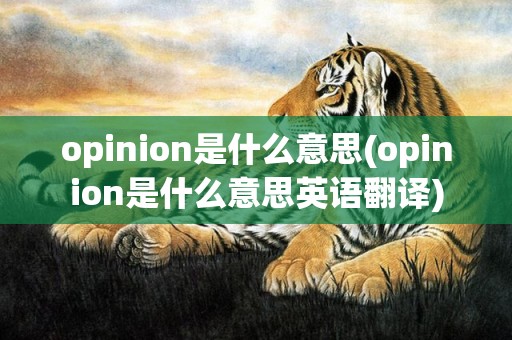 opinion是什么意思(opinion是什么意思英语翻译)