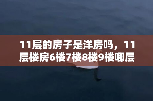 11层的房子是洋房吗，11层楼房6楼7楼8楼9楼哪层好