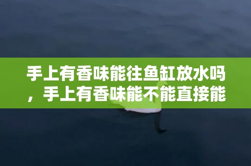 手上有香味能往鱼缸放水吗，手上有香味能不能直接能往鱼缸放水