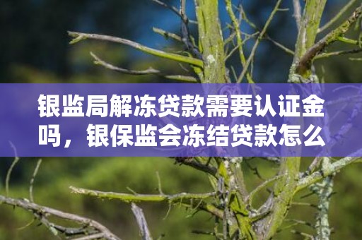 银监局解冻贷款需要认证金吗，银保监会冻结贷款怎么办
