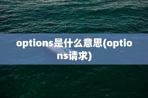 options是什么意思(options请求)