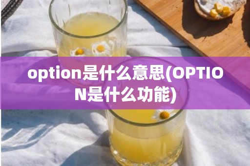 option是什么意思(OPTION是什么功能)