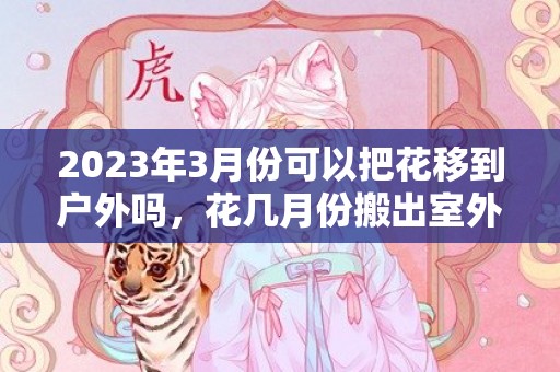 2023年3月份可以把花移到户外吗，花几月份搬出室外比较合适