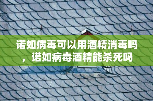 诺如病毒可以用酒精消毒吗，诺如病毒酒精能杀死吗
