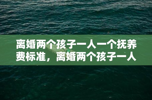 离婚两个孩子一人一个抚养费标准，离婚两个孩子一人一个有探视权吗怎么办手续 离婚后没有抚养权的一方怎么探视