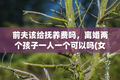 前夫该给抚养费吗，离婚两个孩子一人一个可以吗(女方争取两个孩子条件)