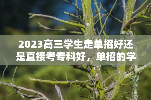 2023高三学生走单招好还是直接考专科好，单招的学校和高考的专科学校一样吗