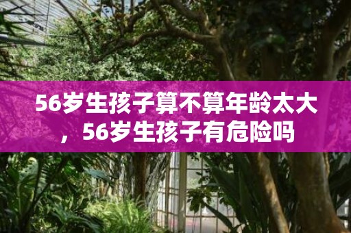 56岁生孩子算不算年龄太大，56岁生孩子有危险吗
