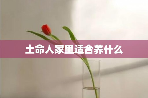 土命人家里适合养什么