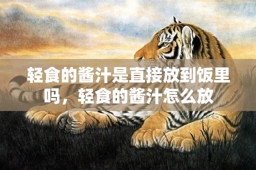 轻食的酱汁是直接放到饭里吗，轻食的酱汁怎么放