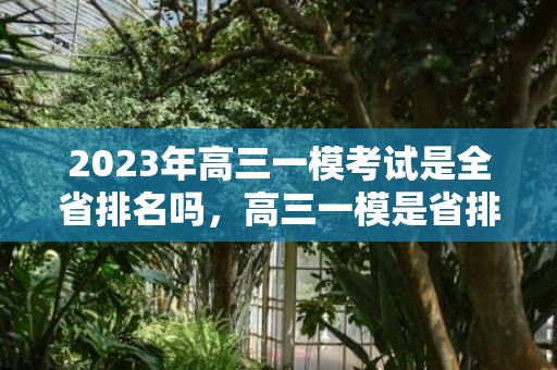 2023年高三一模考试是全省排名吗，高三一模是省排名还是市排名