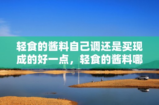 轻食的酱料自己调还是买现成的好一点，轻食的酱料哪种好一点