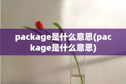 package是什么意思(package是什么意思)