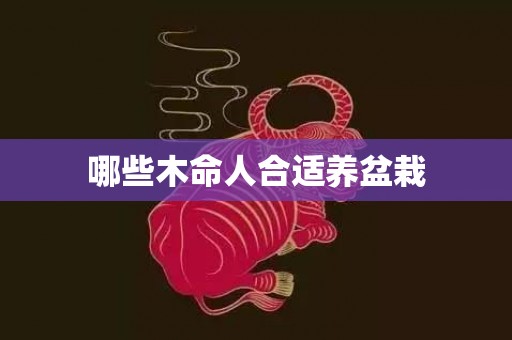 哪些木命人合适养盆栽