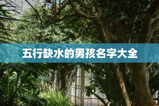 五行缺水的男孩名字大全