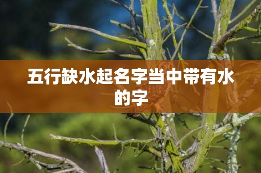 五行缺水起名字当中带有水的字
