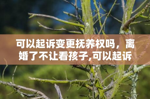 可以起诉变更抚养权吗，离婚了不让看孩子,可以起诉变更抚养权吗 不让探视变更抚养权有胜算吗