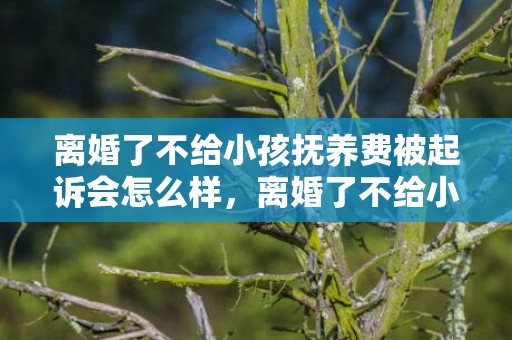 离婚了不给小孩抚养费被起诉会怎么样，离婚了不给小孩抚养费会怎么样？孩子抚养费没给怎么要
