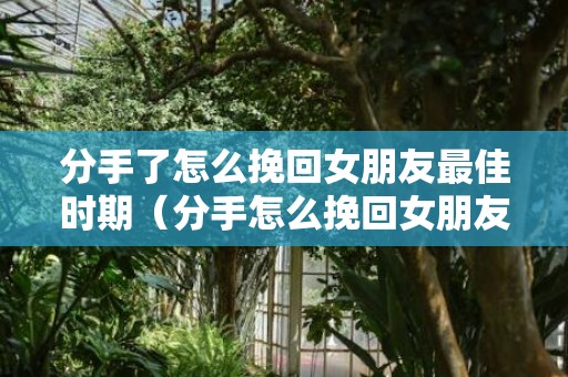 分手了怎么挽回女朋友最佳时期（分手怎么挽回女朋友的话）