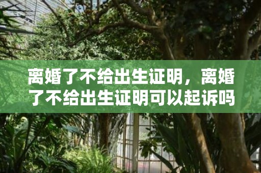 离婚了不给出生证明，离婚了不给出生证明可以起诉吗有效吗，离婚后可以起诉分财产