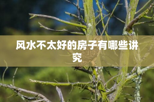 风水不太好的房子有哪些讲究