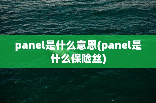 panel是什么意思(panel是什么保险丝)