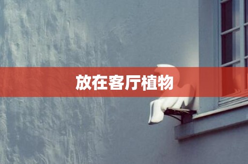 放在客厅植物