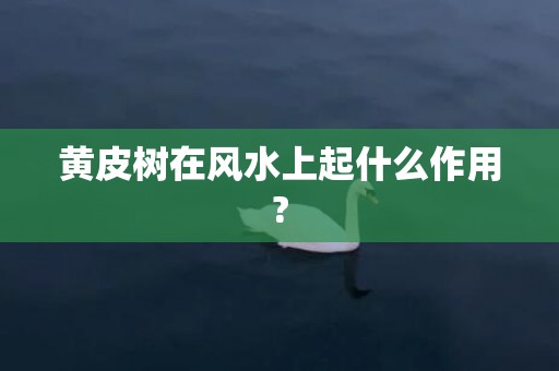 黄皮树在风水上起什么作用?