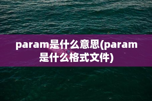param是什么意思(param是什么格式文件)