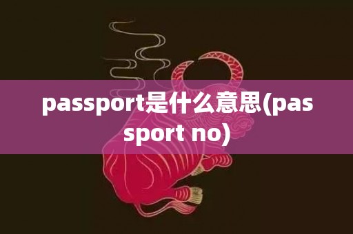 passport是什么意思(passport no)