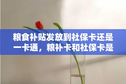 粮食补贴发放到社保卡还是一卡通，粮补卡和社保卡是同一账户吗