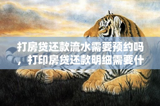 打房贷还款流水需要预约吗，打印房贷还款明细需要什么手续