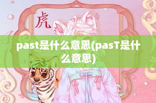 past是什么意思(pasT是什么意思)