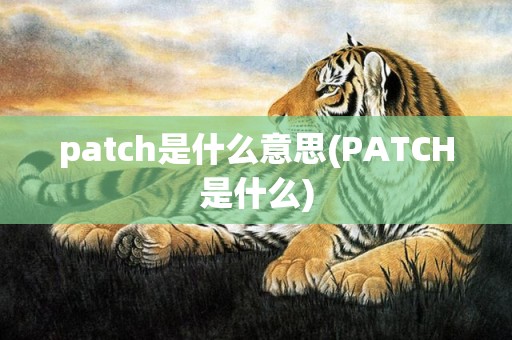 patch是什么意思(PATCH是什么)